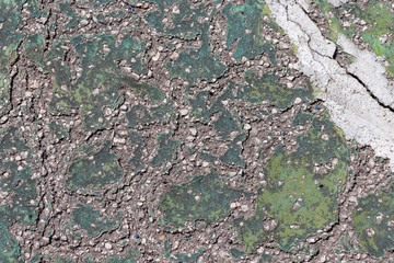 Fototapeta premium Concrete background in cracks of green color