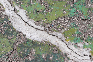 Concrete background in cracks of green color