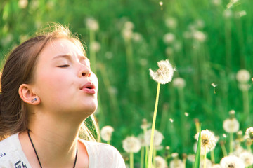 Girl blowing dandelion on a green meadow. Close-up.