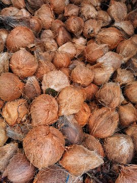 dried coconut​ in market