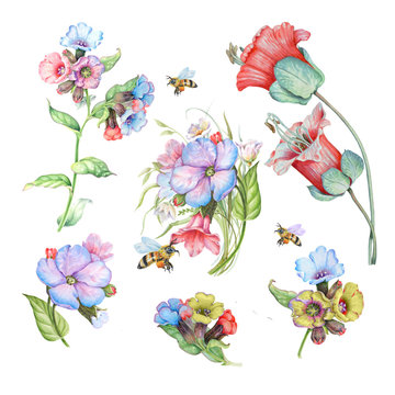 illustrations depicting delicate spring flowers and bees