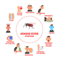 Dengue Fever Symptoms Information Banner Template Vector Illustration
