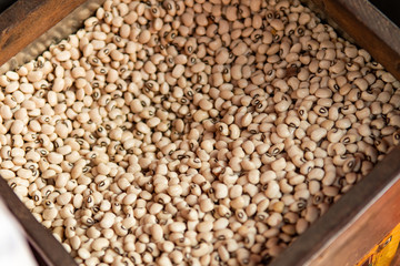 Black-eyed pea, also known as black-eyed bean or goat pea in container.