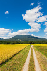 稲田と那須岳