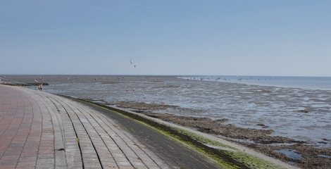 Dike at Coast Ost Friesland Wangerland Germany Mud Beach Waddenzee