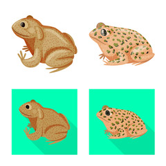 Vector design of wildlife and bog symbol. Set of wildlife and reptile stock vector illustration.
