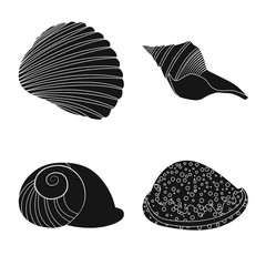 Isolated object of nature and ocean sign. Set of nature and mollusk vector icon for stock.