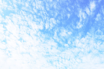 Sky above: white cirrus clouds on light blue sky. 