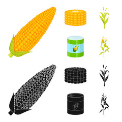 Isolated object of cornfield and vegetable symbol. Collection of cornfield and vegetarian stock vector illustration.
