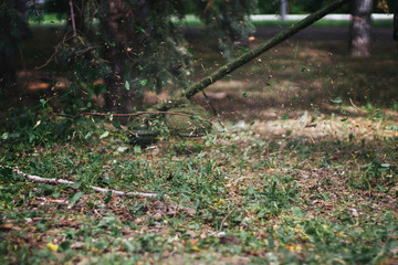 Obraz premium lawnmower or lawn keeper works in the park and cuts the grass by garden trimmer; scraps of foliage fly apart