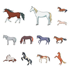 Isolated object of animal and stallion sign. Collection of animal and farm vector icon for stock.