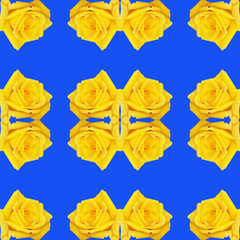 Seamless background with repeating buds of roses yellow and blue color