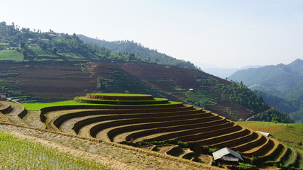 Terraced fields in Mu Cang Chai district, Yen Bai province, Vietnam