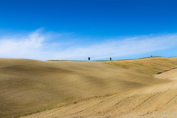 Fototapeta na wymiar wonderful panorama of Tuscan countryside with blue sky Italy