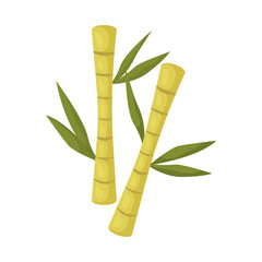 Fototapeta na wymiar Vector design of bamboo and green symbol. Set of bamboo and botanical vector icon for stock.