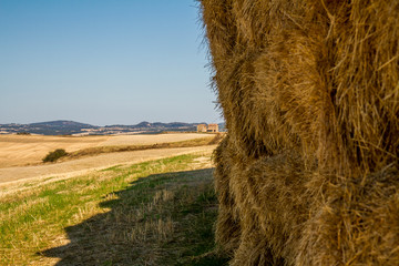 Countryside landscape in Tuscany: cultivated fields in the hills