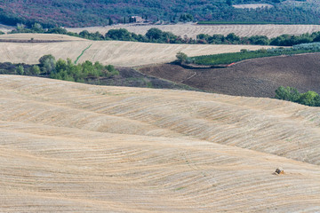 Fototapeta premium Countryside landscape in Tuscany: cultivated fields in the hills