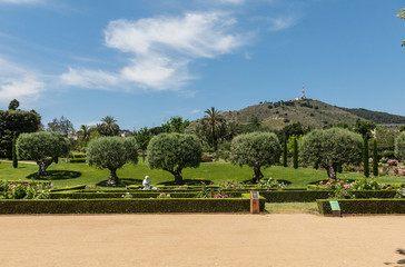 the Park Cervantes, rose garden, Barcelona.
