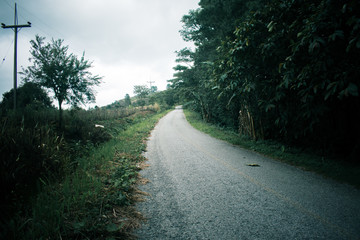 Obraz premium Roads and natural forests in the rainy season