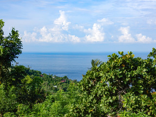 Lush green vegetation against a blue sea and white clouds. Vegetation by the sea
