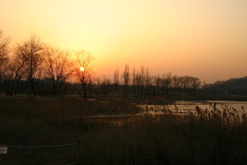 Obraz premium Sunset mood on the lake park