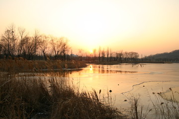 Sunset mood on the lake park