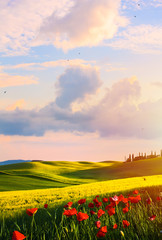 Sunset over the Tuscany countryside landscape; Typical Italy;