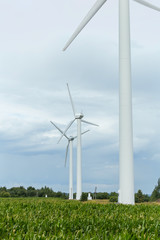 Fototapeta premium Wind generators on the background of the sky with clouds. Clean energy for agro farm.