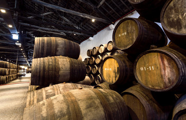 Huge winery with oak barrels full of vintage port wine