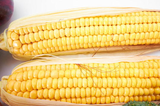 fresh corns on the white background