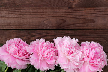 delicate pink blooming peonies on a rough dark wooden background. Brown old wooden planks texture. country rustic style. blank for postcards. Text area, copy space