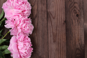 delicate pink blooming peonies on a rough dark wooden background. Brown old wooden planks texture. country rustic style. blank for postcards. Text area, copy space