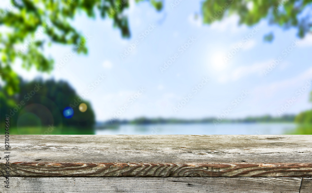 Canvas Prints tree on the beach