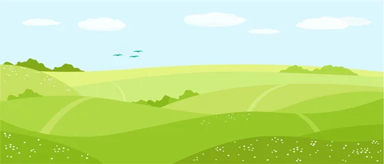 Poster Zomer natuur, landschap. Veld, groene heuvels, blauwe lucht met wolken, weide met bloemen. vector illustratie © Iuliia
