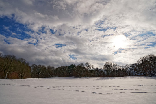 Langlauf loipe, cross-country skiing in Munich (M&uuml;nchen) Ostpark