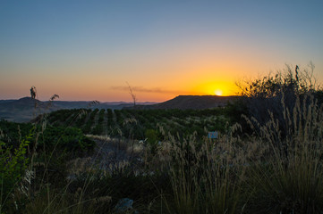 Wonderful Summer Sunset, Sicily, Italy, Europe