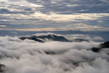 Fototapeta premium Morning fog landscape 