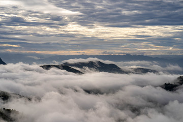 Morning fog landscape 