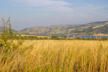 Landscape in the Pilanesberg National Park