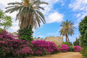 Fototapeta na wymiar Ruins of old castle - Old city of Rhodes