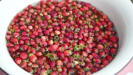 Childs hand washs small strawberries in bowl. Close-up. slow motion