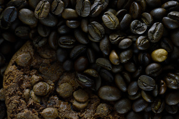 Chocolate cookies on the background of coffee beans