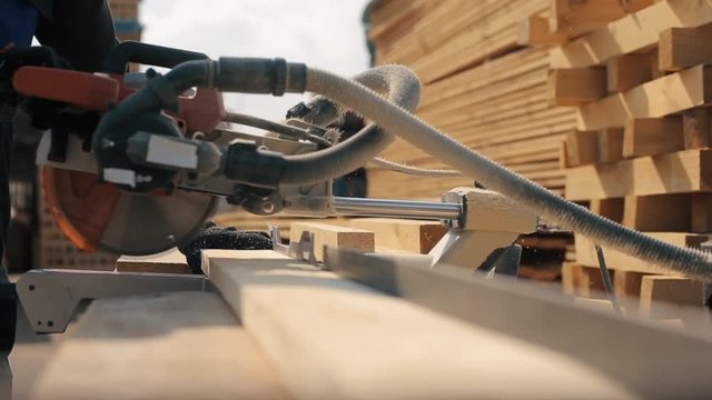 Close up of wood cutting machine cuts plank. Worker cuts wooden boards.