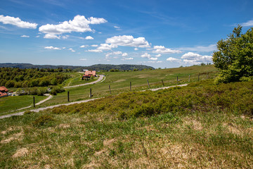 Passstrasse am Elsässer Belchen mit Blick auf den Ballon de Ser