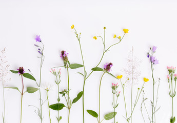 Floral pattern with wildflowers, green leaves, branches on white background. Flat lay, top view.