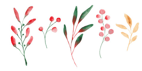  Watercolor set with Christmas leaves, flowers, wreaths and frames.