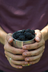 Man's hands holding iron mug of blackberries on violet background