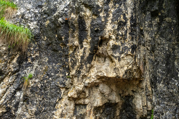 Stone texture - details,  background and texture image