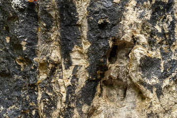 Stone texture - details,  background and texture image