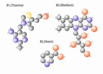 The molecule structure of different vitamine B molecules.